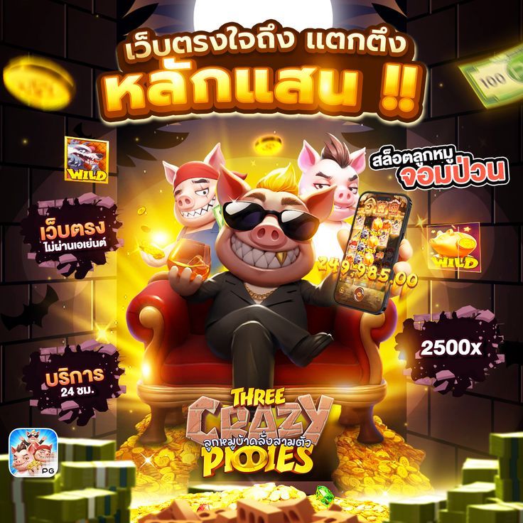 365kub